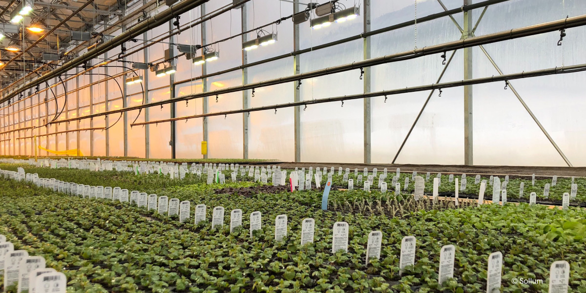 Greater Montréal's agtech sector serving sustainable agriculture ...