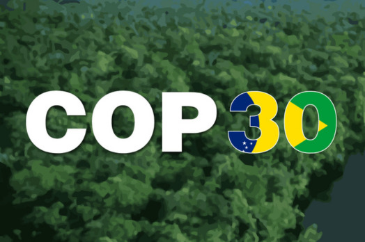 COP30